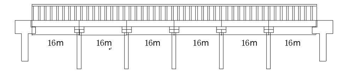 Elevation view of the bridge