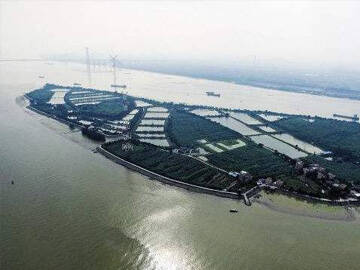 Carbon fiber reinforcement and repair of Hongshengsha wharf of Guangzhou port